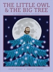 Little Owl & the Big Tree: A Christmas Story цена и информация | Книги для малышей | pigu.lt