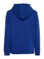 Džemperis moterims Tommy Hilfiger, mėlynas kaina ir informacija | Džemperiai moterims | pigu.lt