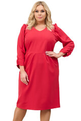 Suknelė moterims Kamela, raudona kaina ir informacija | Suknelės | pigu.lt