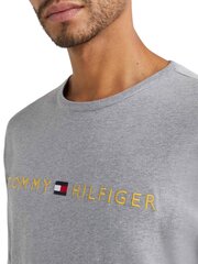 Tommy Hilfiger vyriški marškinėliai 52092, pilki цена и информация | Мужские футболки | pigu.lt