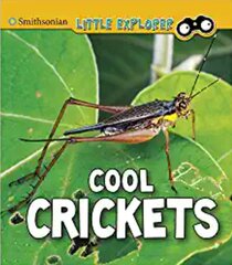 Cool Crickets цена и информация | Книги для подростков  | pigu.lt