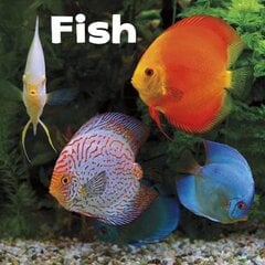 Fish kaina ir informacija | Knygos paaugliams ir jaunimui | pigu.lt