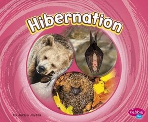 Hibernation цена и информация | Книги для подростков  | pigu.lt