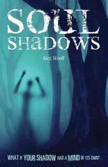 Soul Shadows цена и информация | Книги для подростков  | pigu.lt