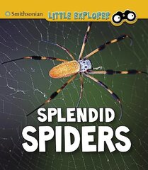 Splendid Spiders kaina ir informacija | Knygos paaugliams ir jaunimui | pigu.lt
