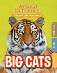 Big Cats цена и информация | Книги для подростков и молодежи | pigu.lt