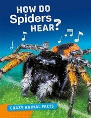 How Do Spiders Hear? kaina ir informacija | Knygos paaugliams ir jaunimui | pigu.lt