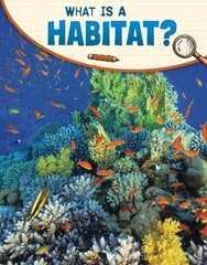 What Is a Habitat? цена и информация | Книги для подростков и молодежи | pigu.lt