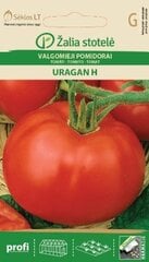 Помидоры Uragan H, 0.1 г цена и информация | Семена овощей, ягод | pigu.lt