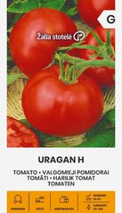 Помидоры Uragan H, 0.1 г цена и информация | Семена овощей, ягод | pigu.lt