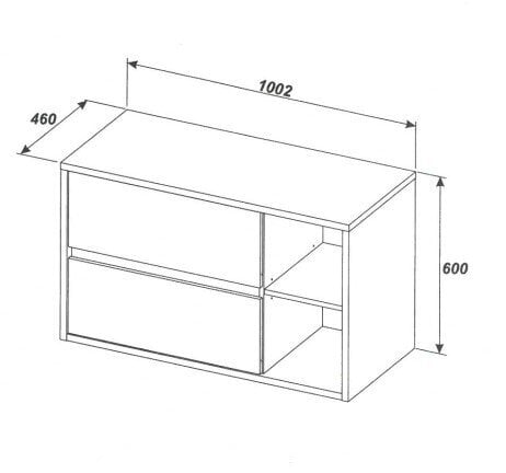 Spintelė praustuvui su kriaukle 824-100BL HAMPTON, 100 cm, matinė juoda spalva kaina ir informacija | Vonios spintelės | pigu.lt