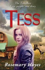 Tess UK ed. цена и информация | Книги для подростков  | pigu.lt