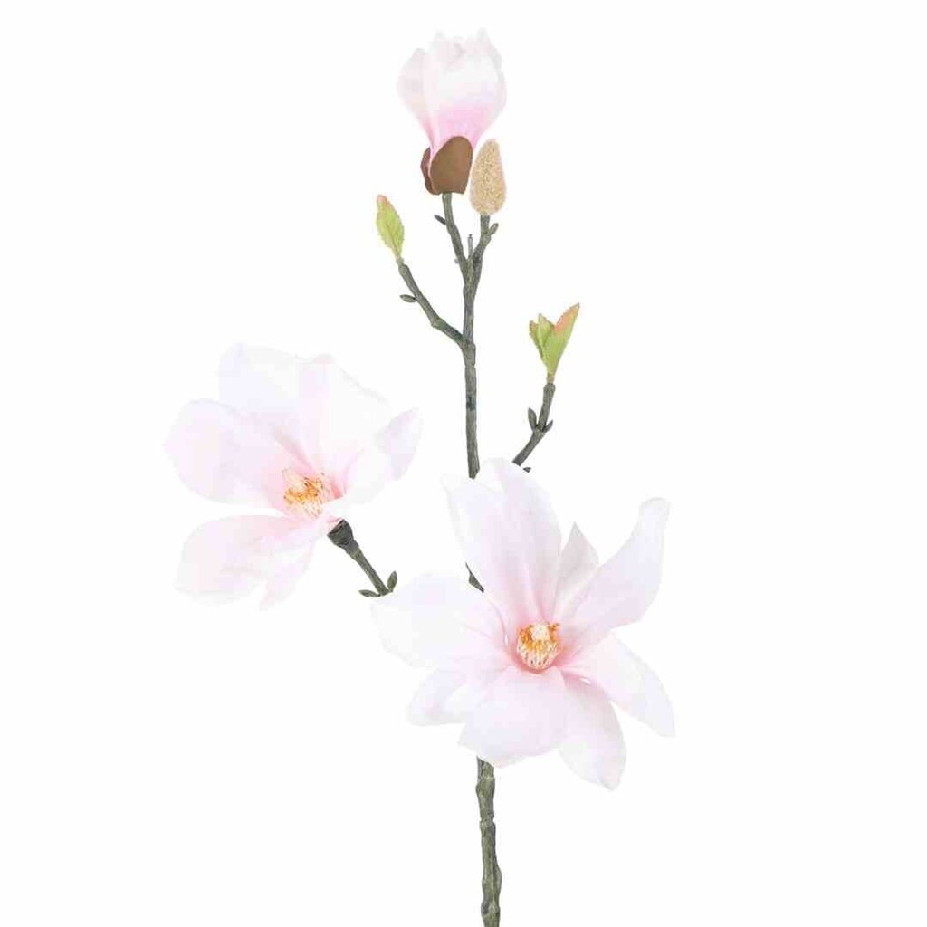 Dirbtinė magnolija, 10 vnt. цена и информация | Interjero detalės | pigu.lt