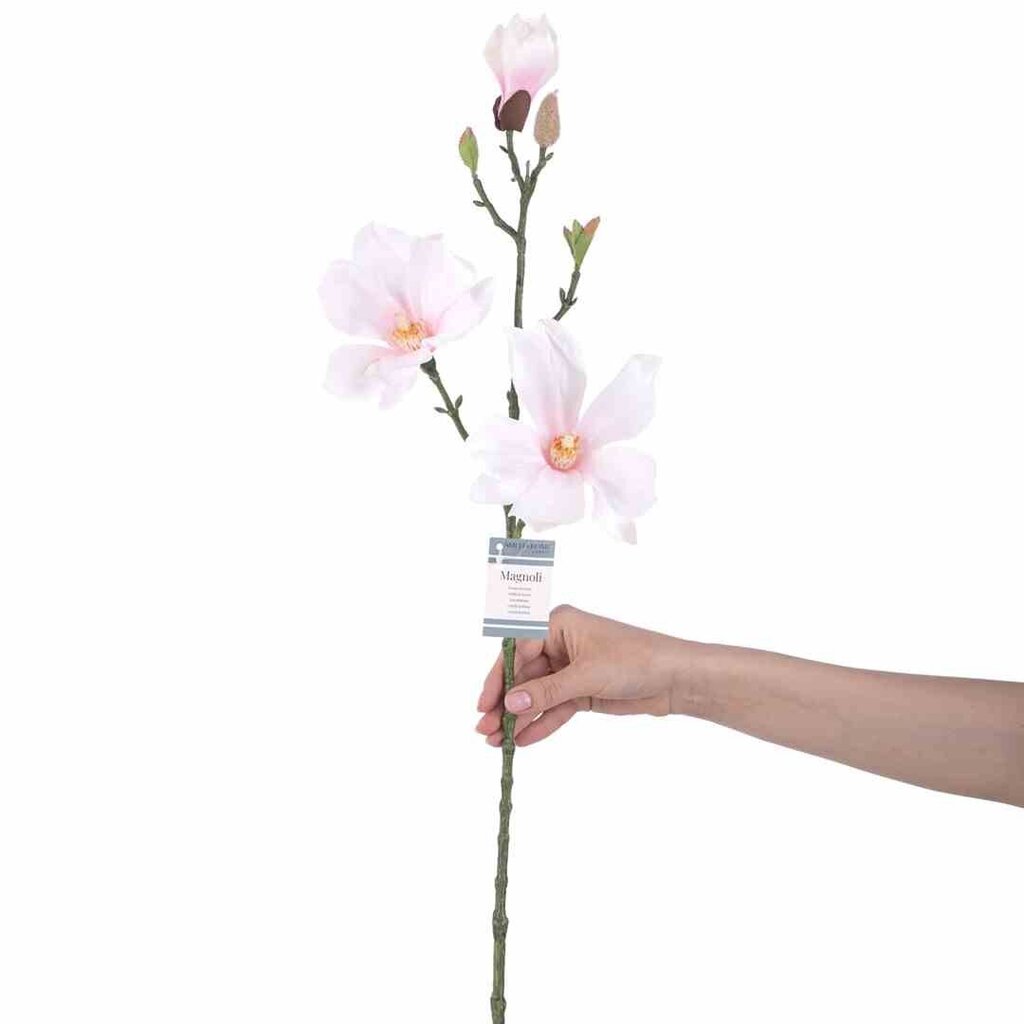 Dirbtinė magnolija, 10 vnt. цена и информация | Interjero detalės | pigu.lt