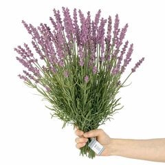 Dirbtinės gėlės šakelės, 10 vnt. kaina ir informacija | Interjero detalės | pigu.lt