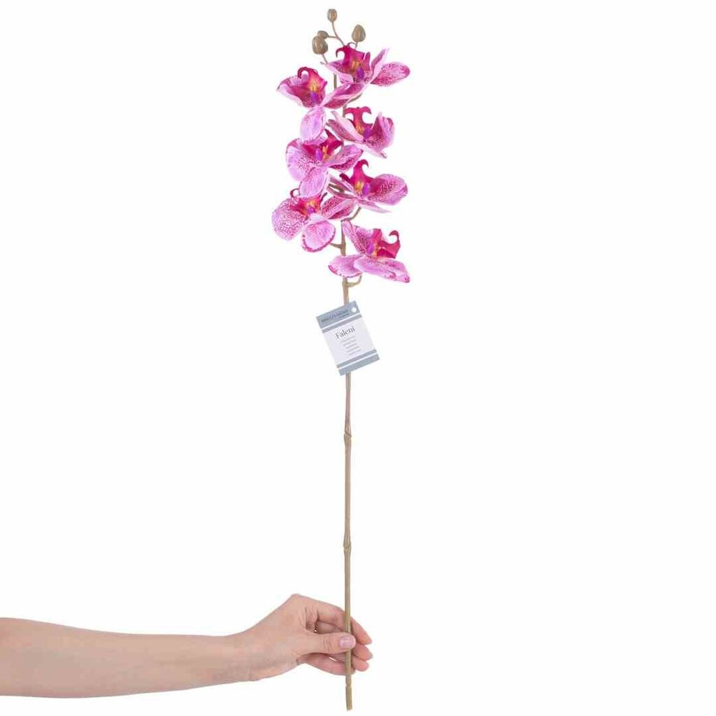 Dirbtinė orchidėja, 10 vnt. kaina ir informacija | Interjero detalės | pigu.lt