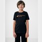 Marškinėliai 4F Jr HJZ22-JTSM003 30S, juodi, 140 cm цена и информация | Marškinėliai berniukams | pigu.lt