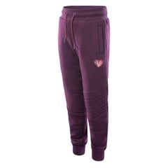 Спортивные брюки для девочек Bejo Tigos Брюки Kdg Jr., фиолетовые цена и информация | Брюки для девочки | pigu.lt