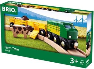 BRIO World 33748 Экспресс-поезд цена и информация | Игрушки для мальчиков | pigu.lt