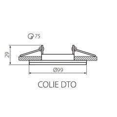 Алюминиевый круглый светильник COLIE DTO-GR цена и информация | Монтируемые светильники, светодиодные панели | pigu.lt