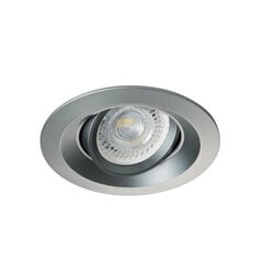 Алюминиевый круглый светильник COLIE DTO-GR цена и информация | Монтируемые светильники, светодиодные панели | pigu.lt