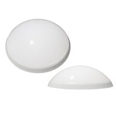 Круглый светильник Pantera 3190M белый цена и информация | Потолочные светильники | pigu.lt