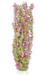 Folijos augalas 65cm 6f36 Happet kaina ir informacija | Akvariumo augalai, dekoracijos | pigu.lt