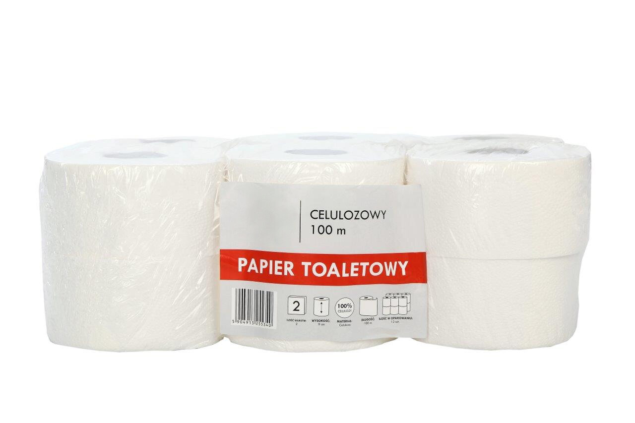 Tualetinis popierius, rulone, 100m, 2sl. kaina ir informacija | Tualetinis popierius, popieriniai rankšluosčiai | pigu.lt