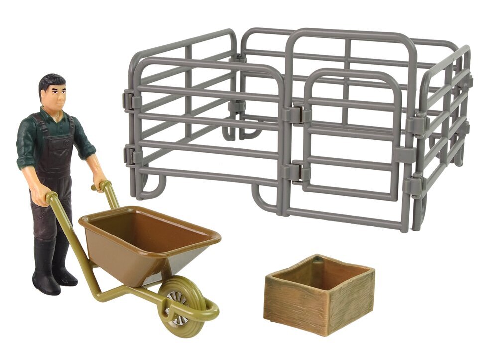 Ūkio gyvūnų figūrėlių rinkinys Lean Toys Valstiečių paukščių ūkis цена и информация | Žaislai berniukams | pigu.lt