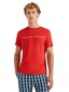 Tommy Hilfiger vyriški marškinėliai 51964, raudoni kaina ir informacija | Vyriški marškinėliai | pigu.lt