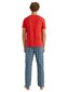 Tommy Hilfiger vyriški marškinėliai 51964, raudoni kaina ir informacija | Vyriški marškinėliai | pigu.lt