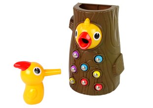 Магнитная игра Поймай червяка и покорми птицу цена и информация | Развивающие игрушки | pigu.lt
