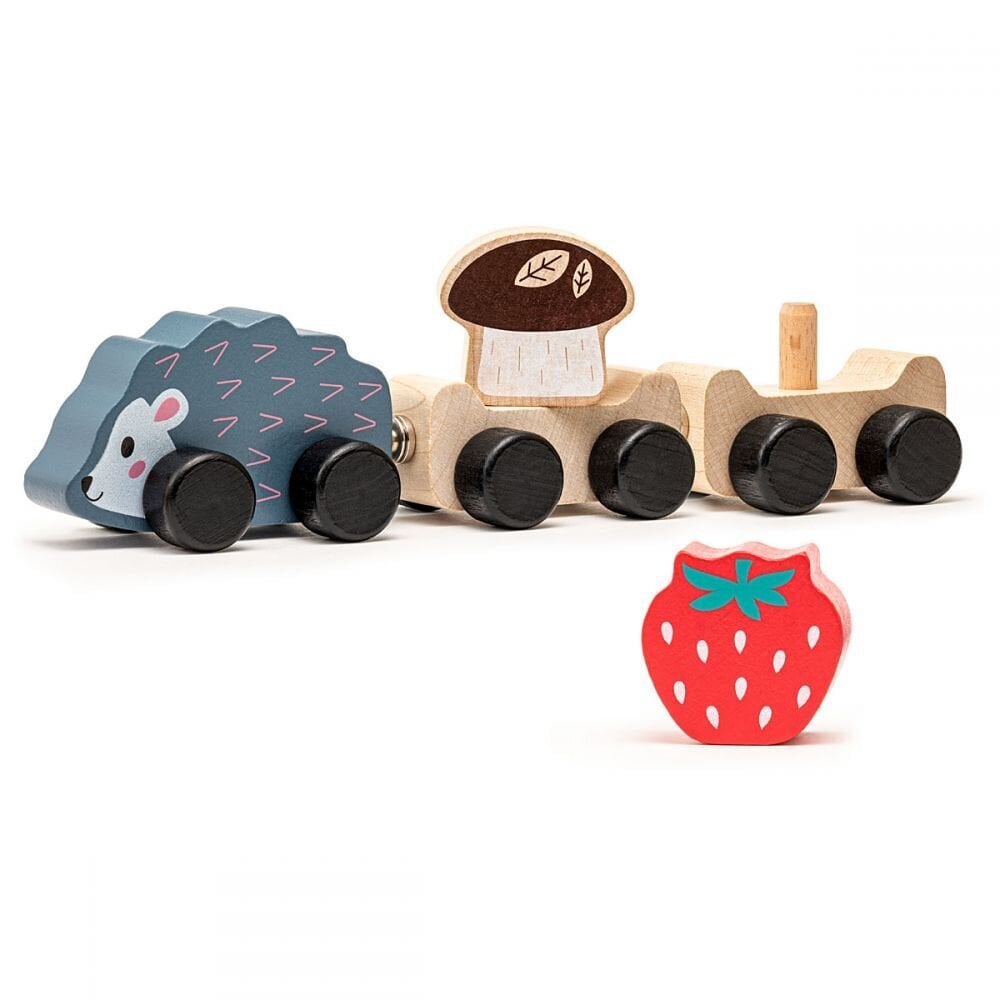Medinis traukinys Ežiukas kaina ir informacija | Žaislai kūdikiams | pigu.lt