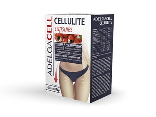 Adelgacell Celulite maisto papildas celiulito mažinimui, 40 kapsulių kaina ir informacija | Vitaminai, maisto papildai, preparatai grožiui | pigu.lt