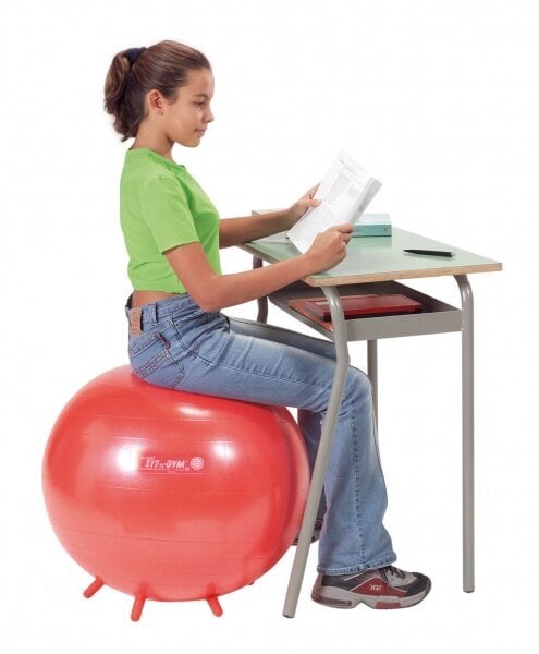 Sėdėjimo kamuolys 55 cm, raudonas kaina ir informacija | Gimnastikos kamuoliai | pigu.lt