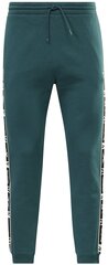 Мужские брюки Reebok Ri TAPE Jogger Green HJ7844 HJ7844/L цена и информация | Мужская спортивная одежда | pigu.lt