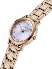 Часы Guess GW0532L3 цена и информация | Женские часы | pigu.lt