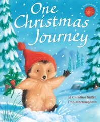 One Christmas Journey цена и информация | Книги для самых маленьких | pigu.lt