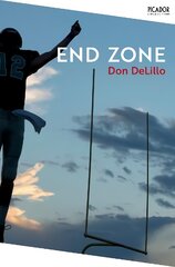 End Zone цена и информация | Fantastinės, mistinės knygos | pigu.lt