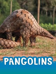 Pangolins цена и информация | Книги для подростков и молодежи | pigu.lt