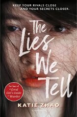 Lies We Tell цена и информация | Книги для подростков  | pigu.lt