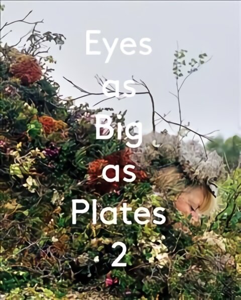 Eyes as Big as Plates 2 цена и информация | Fotografijos knygos | pigu.lt