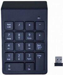 Клавиатура Gembird USB Numeric Keypad Wireless цена и информация | Клавиатуры | pigu.lt