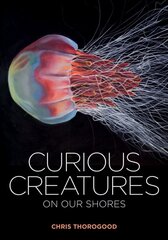 Curious Creatures on our Shores цена и информация | Книги о питании и здоровом образе жизни | pigu.lt