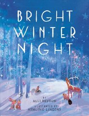 Bright Winter Night цена и информация | Книги для подростков  | pigu.lt