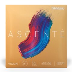 Stygos smuikui D'addario Ascente Violin 3/4 Medium A310 3/4M kaina ir informacija | Priedai muzikos instrumentams | pigu.lt