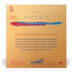 Струны для скрипки D'addario Ascente Violin 1/2 Medium A310 1/2M цена и информация | Принадлежности для музыкальных инструментов | pigu.lt