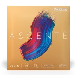 Stygos smuikui D'addario Ascente Violin 1/2 Medium A310 1/2M kaina ir informacija | Priedai muzikos instrumentams | pigu.lt