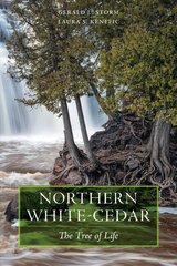 Northern White-Cedar: The Tree of Life цена и информация | Книги о питании и здоровом образе жизни | pigu.lt