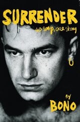 Surrender: 40 Songs, One Story kaina ir informacija | Biografijos, autobiografijos, memuarai | pigu.lt